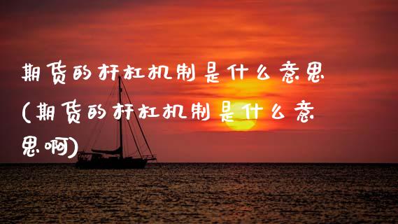 期货的杆杠机制是什么意思(期货的杆杠机制是什么意思啊)_https://www.zztgc.com_期货行情_第1张