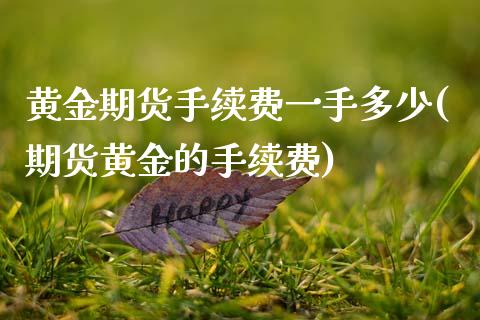 黄金期货手续费一手多少(期货黄金的手续费)_https://www.zztgc.com_黄金期货_第1张