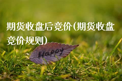 期货收盘后竞价(期货收盘竞价规则)_https://www.zztgc.com_期货行情_第1张