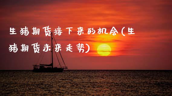 生猪期货接下来的机会(生猪期货未来走势)_https://www.zztgc.com_期货开户_第1张