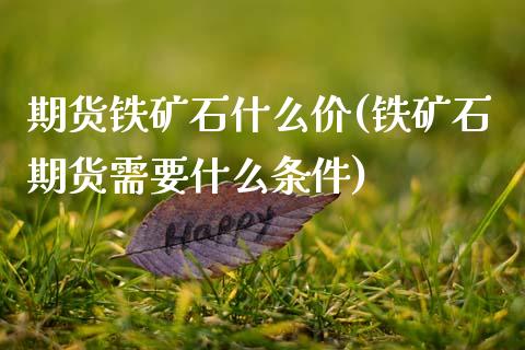 期货铁矿石什么价(铁矿石期货需要什么条件)_https://www.zztgc.com_原油期货_第1张
