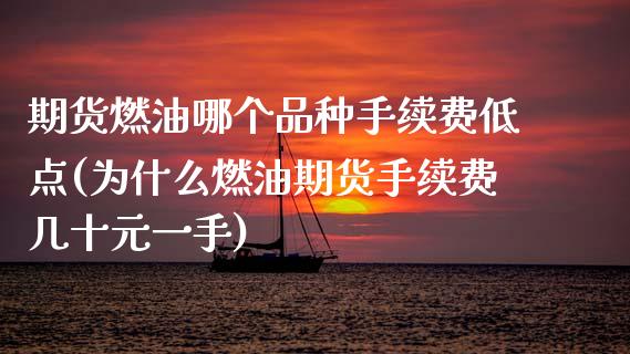 期货燃油哪个品种手续费低点(为什么燃油期货手续费几十元一手)_https://www.zztgc.com_期货入门_第1张