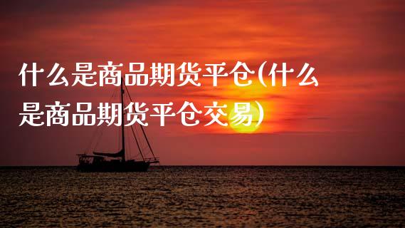 什么是商品期货平仓(什么是商品期货平仓交易)_https://www.zztgc.com_期货入门_第1张