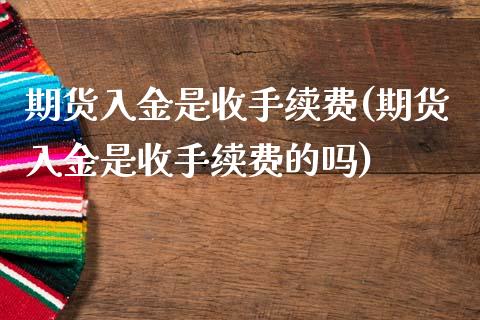 期货入金是收手续费(期货入金是收手续费的吗)_https://www.zztgc.com_原油期货_第1张