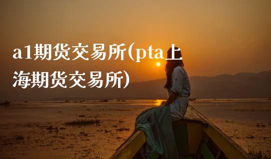 a1期货交易所(pta上海期货交易所)_https://www.zztgc.com_原油期货_第1张
