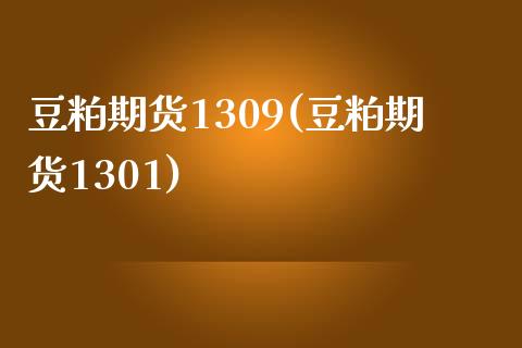豆粕期货1309(豆粕期货1301)_https://www.zztgc.com_原油期货_第1张