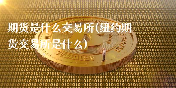 期货是什么交易所(纽约期货交易所是什么)_https://www.zztgc.com_黄金期货_第1张