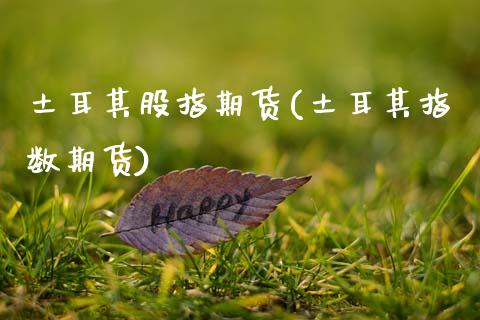 土耳其股指期货(土耳其指数期货)_https://www.zztgc.com_期货入门_第1张