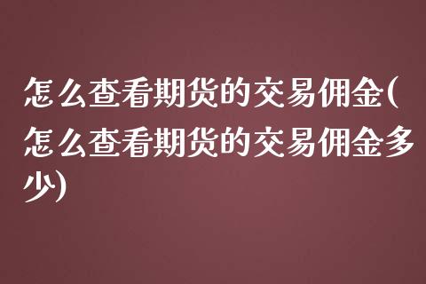 怎么查看期货的交易佣金(怎么查看期货的交易佣金多少)_https://www.zztgc.com_期货直播_第1张