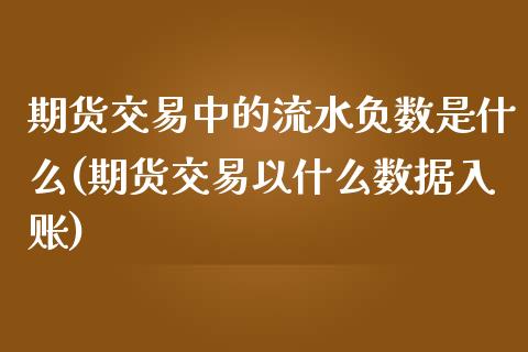 期货交易中的流水负数是什么(期货交易以什么数据入账)_https://www.zztgc.com_期货直播_第1张