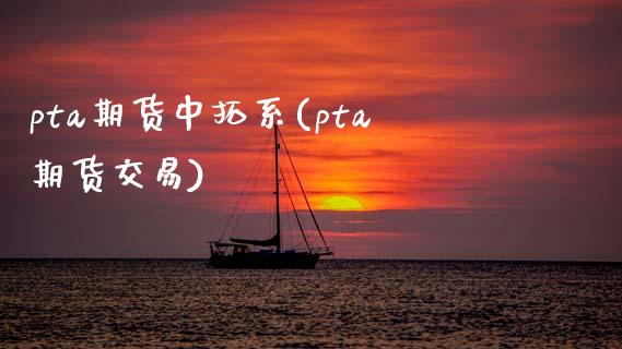 pta期货中拓系(pta期货交易)_https://www.zztgc.com_期货直播_第1张