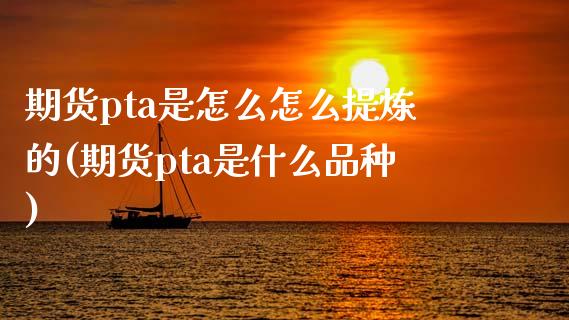 期货pta是怎么怎么提炼的(期货pta是什么品种)_https://www.zztgc.com_期货入门_第1张