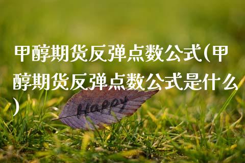 甲醇期货反弹点数公式(甲醇期货反弹点数公式是什么)_https://www.zztgc.com_期货直播_第1张