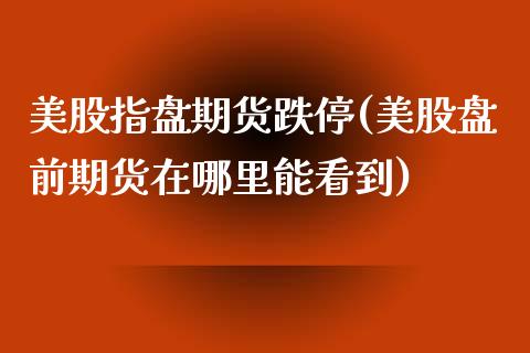 美股指盘期货跌停(美股盘前期货在哪里能看到)_https://www.zztgc.com_期货行情_第1张