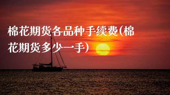 棉花期货各品种手续费(棉花期货多少一手)_https://www.zztgc.com_黄金期货_第1张