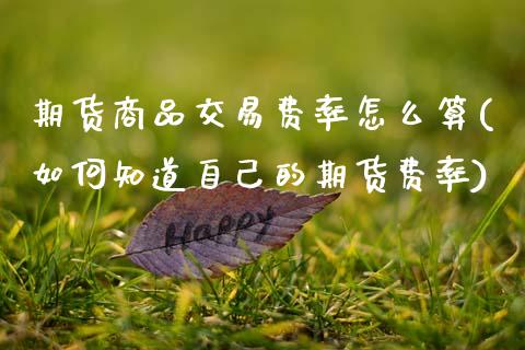期货商品交易费率怎么算(如何知道自己的期货费率)_https://www.zztgc.com_期货直播_第1张