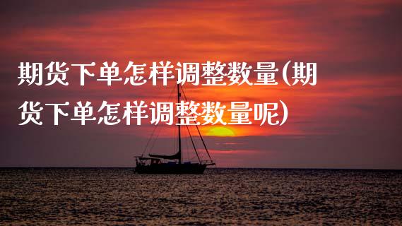 期货下单怎样调整数量(期货下单怎样调整数量呢)_https://www.zztgc.com_黄金期货_第1张