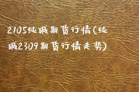 2105纯碱期货行情(纯碱2309期货行情走势)_https://www.zztgc.com_黄金期货_第1张
