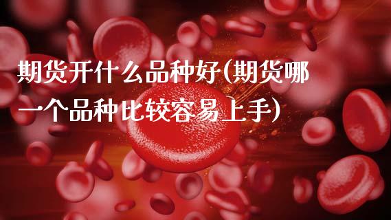 期货开什么品种好(期货哪一个品种比较容易上手)_https://www.zztgc.com_期货入门_第1张