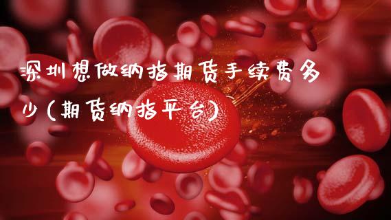 深圳想做纳指期货手续费多少(期货纳指平台)_https://www.zztgc.com_黄金期货_第1张
