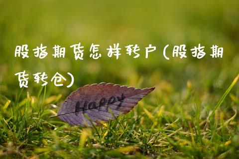 股指期货怎样转户(股指期货转仓)_https://www.zztgc.com_黄金期货_第1张