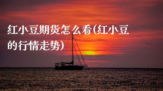 红小豆期货怎么看(红小豆的行情走势)_https://www.zztgc.com_期货入门_第1张
