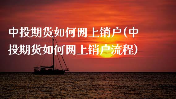 中投期货如何网上销户(中投期货如何网上销户流程)_https://www.zztgc.com_期货开户_第1张