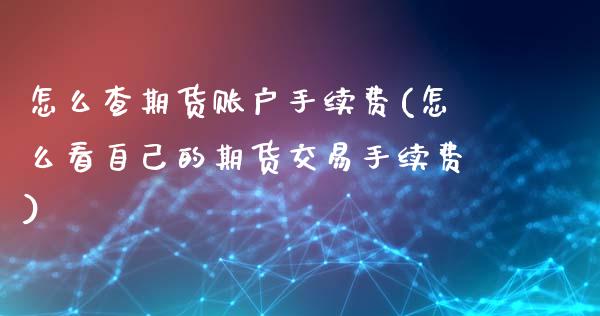 怎么查期货账户手续费(怎么看自己的期货交易手续费)_https://www.zztgc.com_期货行情_第1张