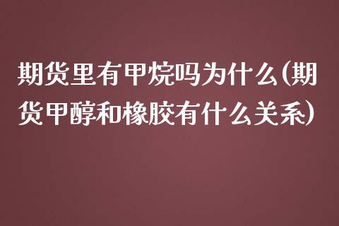 期货里有甲烷吗为什么(期货甲醇和橡胶有什么关系)_https://www.zztgc.com_原油期货_第1张