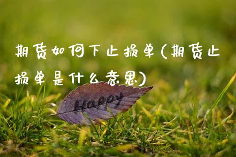 期货如何下止损单(期货止损单是什么意思)_https://www.zztgc.com_期货直播_第1张
