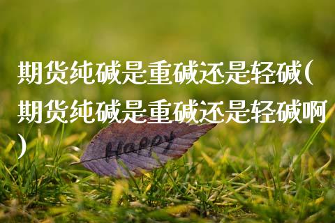 期货纯碱是重碱还是轻碱(期货纯碱是重碱还是轻碱啊)_https://www.zztgc.com_原油期货_第1张