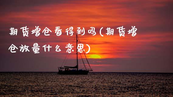 期货增仓看得到吗(期货增仓放量什么意思)_https://www.zztgc.com_期货开户_第1张