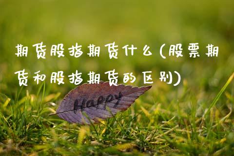 期货股指期货什么(股票期货和股指期货的区别)_https://www.zztgc.com_期货行情_第1张