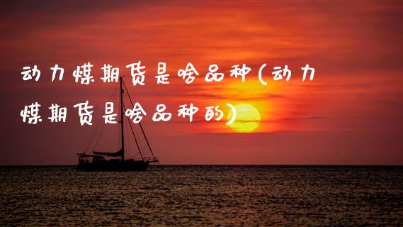 动力煤期货是啥品种(动力煤期货是啥品种的)_https://www.zztgc.com_期货行情_第1张