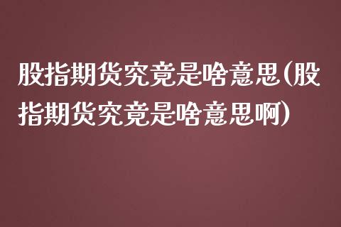 股指期货究竟是啥意思(股指期货究竟是啥意思啊)_https://www.zztgc.com_期货入门_第1张