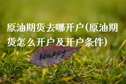 原油期货去哪开户(原油期货怎么开户及开户条件)_https://www.zztgc.com_黄金期货_第1张