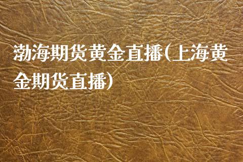 渤海期货黄金直播(上海黄金期货直播)_https://www.zztgc.com_期货入门_第1张