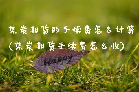 焦炭期货的手续费怎么计算(焦炭期货手续费怎么收)_https://www.zztgc.com_期货直播_第1张