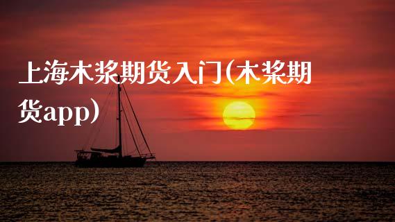 上海木浆期货入门(木桨期货app)_https://www.zztgc.com_期货入门_第1张