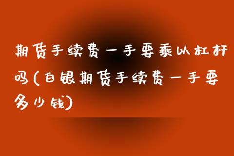期货手续费一手要乘以杠杆吗(白银期货手续费一手要多少钱)_https://www.zztgc.com_期货直播_第1张