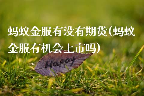 蚂蚁金服有没有期货(蚂蚁金服有机会上市吗)_https://www.zztgc.com_原油期货_第1张