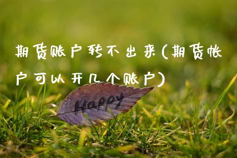 期货账户转不出来(期货帐户可以开几个账户)_https://www.zztgc.com_期货入门_第1张