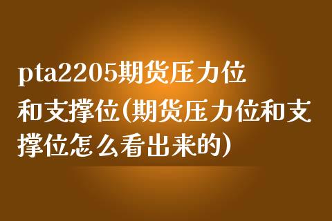 pta2205期货压力位和支撑位(期货压力位和支撑位怎么看出来的)_https://www.zztgc.com_期货行情_第1张