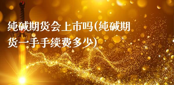 纯碱期货会上市吗(纯碱期货一手手续费多少)_https://www.zztgc.com_期货入门_第1张