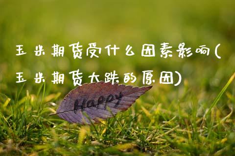 玉米期货受什么因素影响(玉米期货大跌的原因)_https://www.zztgc.com_黄金期货_第1张