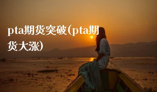 pta期货突破(pta期货大涨)_https://www.zztgc.com_黄金期货_第1张