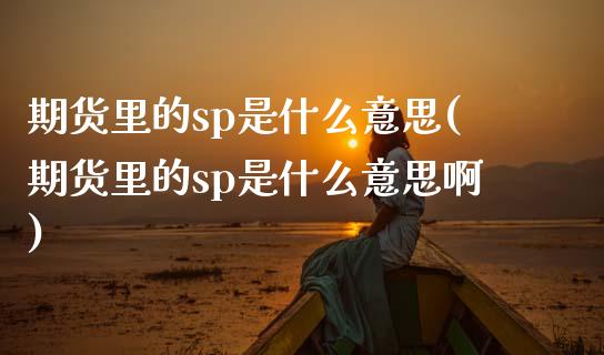 期货里的sp是什么意思(期货里的sp是什么意思啊)_https://www.zztgc.com_期货入门_第1张