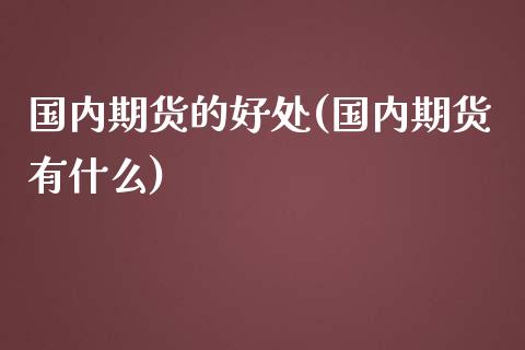 国内期货的好处(国内期货有什么)_https://www.zztgc.com_期货行情_第1张