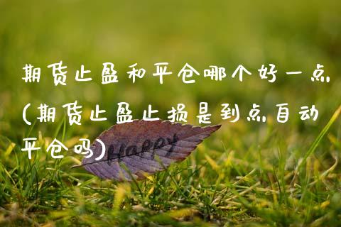 期货止盈和平仓哪个好一点(期货止盈止损是到点自动平仓吗)_https://www.zztgc.com_期货入门_第1张