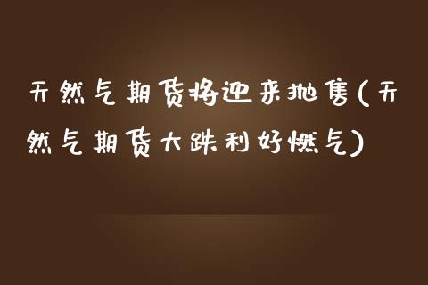 天然气期货将迎来抛售(天然气期货大跌利好燃气)_https://www.zztgc.com_期货入门_第1张